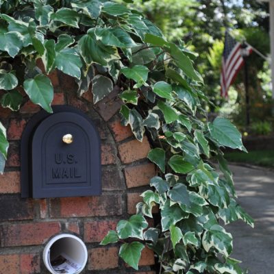 Better Box Mailboxes sells the highest quality cast aluminum brick mailbox replacement doors available. Aluminum construction and stainless steel hardware means your new mailbox door will never rust or rot, and a 5-year UV electrostatic powder coated finish will give you lasting beauty.Shop Now!